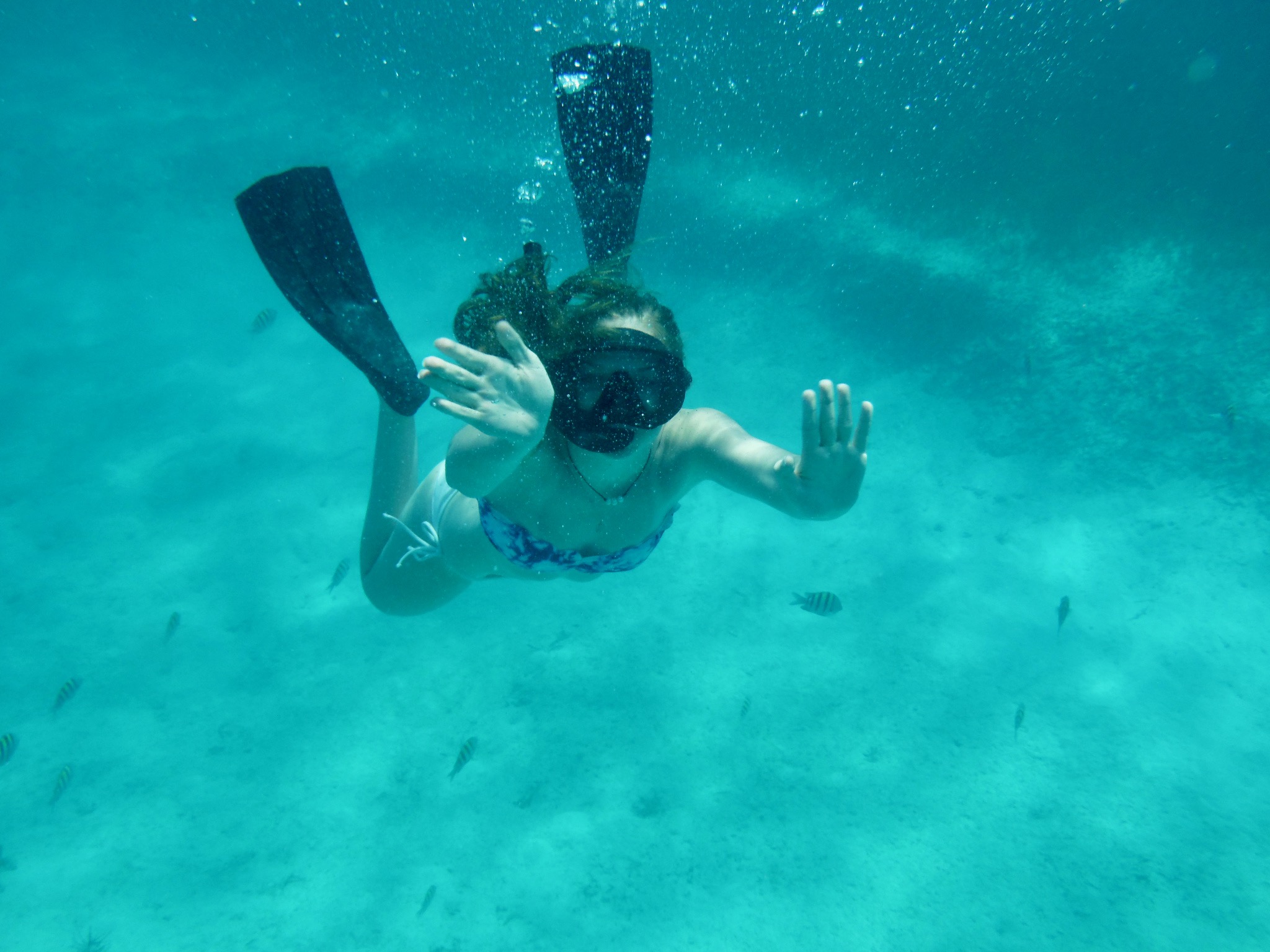 Snorkelling in Great Exuma