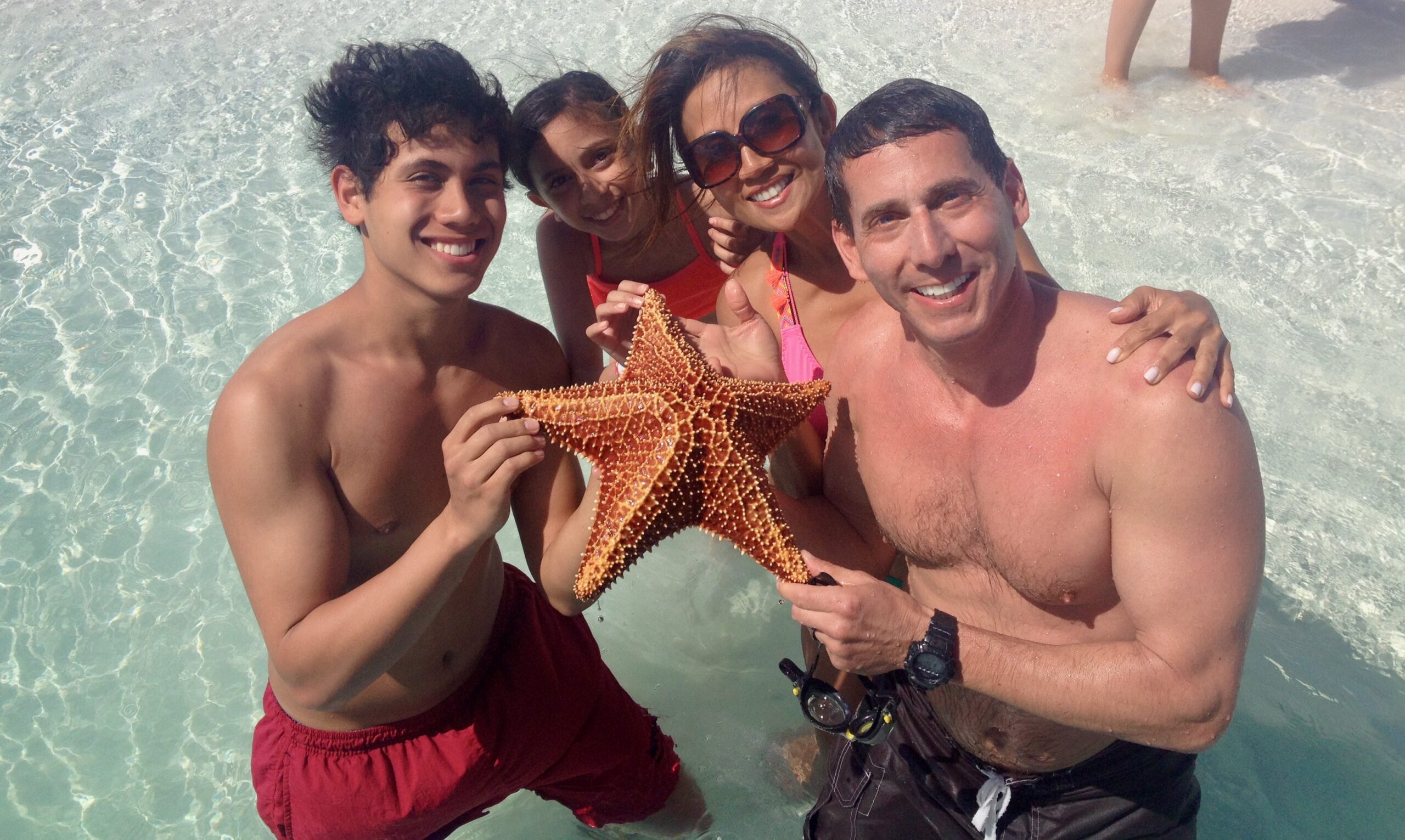 Starfish on the beach